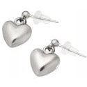 Titanium Earrings